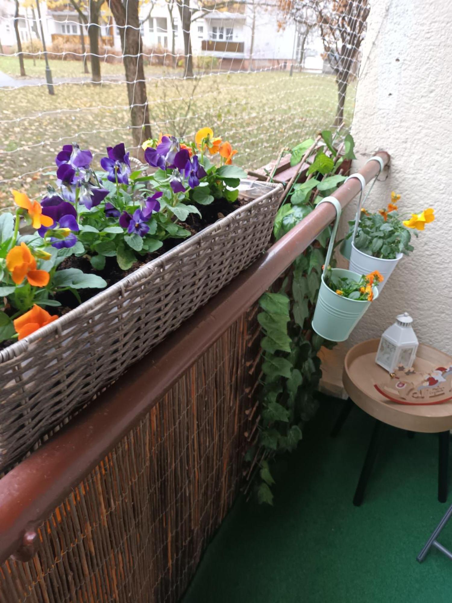 Kata Belvarosi Apartment Veszprém